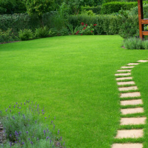 Beautiful, weed-free lawn