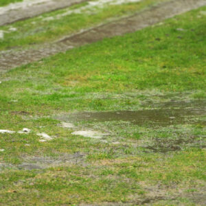 Image of standing water and hydrophobic soil in yard.