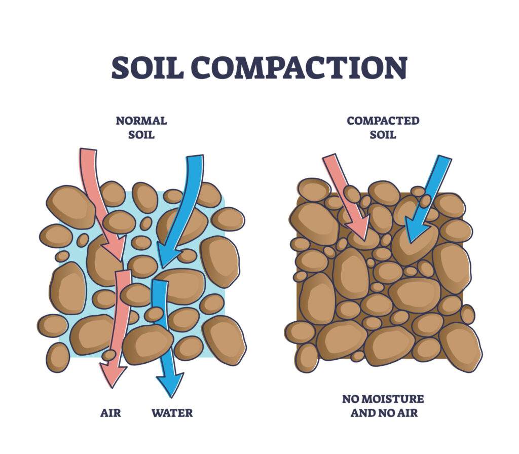 Diagram of soil compaction comparing normal soil with compacted soil. 