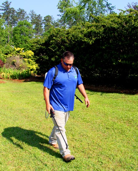 lawn disease